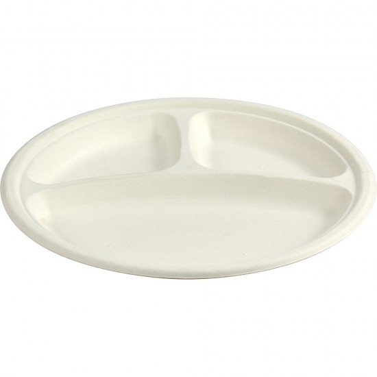 Biodegradeable Bagasse Plates Recyclable 10