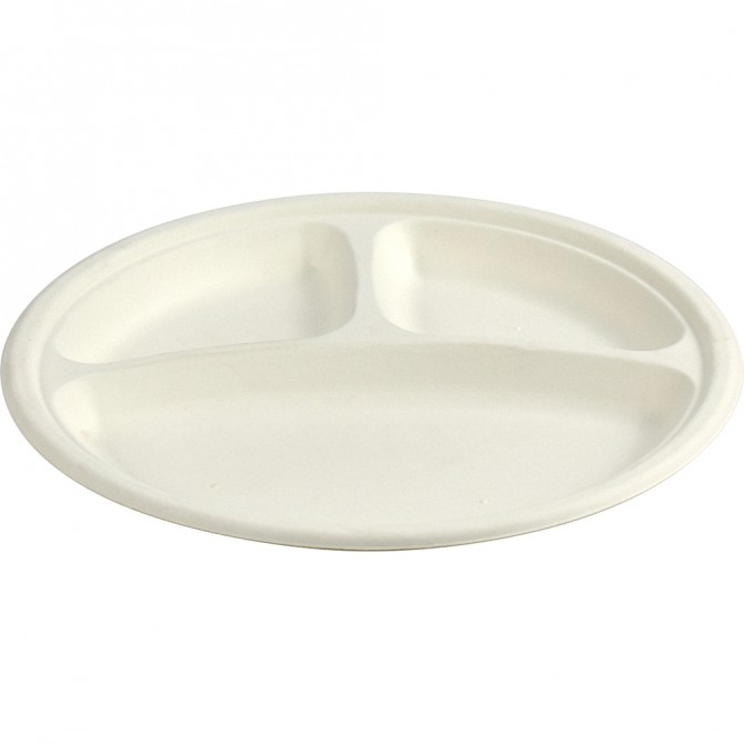 Biodegradeable Bagasse Plates Recyclable 10