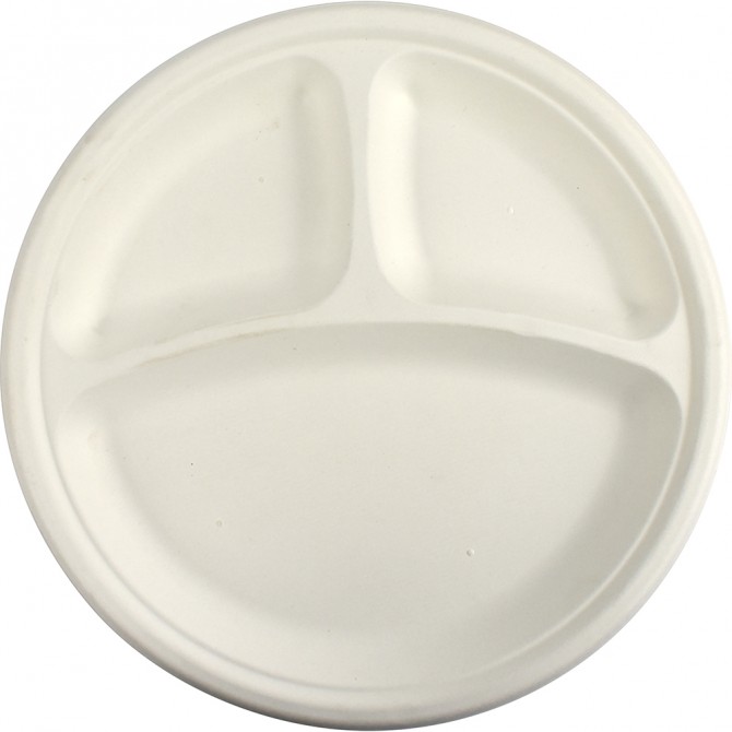 Biodegradeable Bagasse Plates Recyclable 10