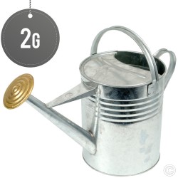 Galvanised Watering Can 2G (10L)