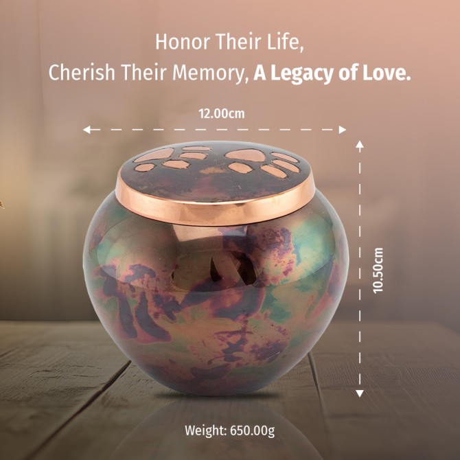 Cremation Brass Urn for Pet Ashes Screw Lid Design - Pet Ashes Keepsakes PET URNS image